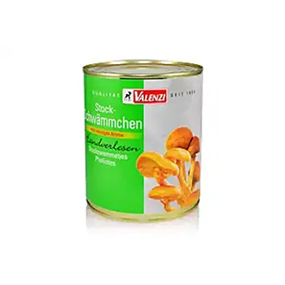 Stockschwaemmchen Dose 12031 - von VALENZI