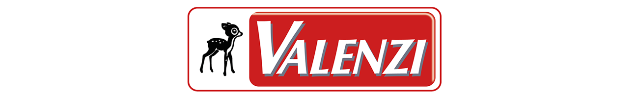 Logo - Valenzi GmbH & Co. KG - Qualität seit 1954